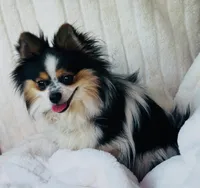 processed/9e402efc-41fd-4a27-8d83-91cc9b133346/listing/e8d758d1-c4ac-44c6-80b3-e4272bab3fa7/45158044-c185-4e46-b4ab-60c3ad0d5aa0