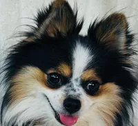 processed/9e402efc-41fd-4a27-8d83-91cc9b133346/listing/e8d758d1-c4ac-44c6-80b3-e4272bab3fa7/bf513403-50ea-42d3-9cd0-64e4d2291071