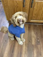 processed/9e40d58d-fa48-4733-80d6-5cd8cdf76a54/facility/94821aa9-8cb4-43b5-a977-a49b74e38308