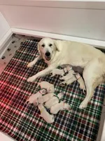 processed/9e40d58d-fa48-4733-80d6-5cd8cdf76a54/facility/972b0df2-6ec6-424f-aca2-b83eb6e886ce