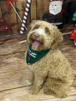 processed/9e40d58d-fa48-4733-80d6-5cd8cdf76a54/facility/97c80c1b-5667-4ed8-898f-249d5922044b