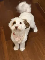 processed/9e40d58d-fa48-4733-80d6-5cd8cdf76a54/facility/e450fd7f-f867-4262-8eeb-92d183f2541f