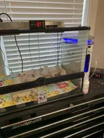 processed/9e40d58d-fa48-4733-80d6-5cd8cdf76a54/facility/ebd1ac02-0114-4df7-b7e7-44aa9b802f36