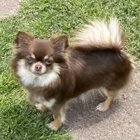 processed/9e45851b-0cee-47be-aba0-465d4da7fd29/facility/125627e3-df1b-458a-af5b-b567828c5bcd