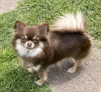 processed/9e45851b-0cee-47be-aba0-465d4da7fd29/facility/125627e3-df1b-458a-af5b-b567828c5bcd