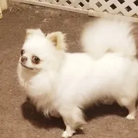 processed/9e45851b-0cee-47be-aba0-465d4da7fd29/facility/14822732-f390-4d66-9e32-9e1da27aeafc