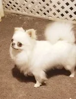 processed/9e45851b-0cee-47be-aba0-465d4da7fd29/facility/14822732-f390-4d66-9e32-9e1da27aeafc