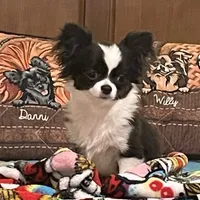 processed/9e45851b-0cee-47be-aba0-465d4da7fd29/facility/4a40967e-0d9e-41f1-817b-61b319b34cb8