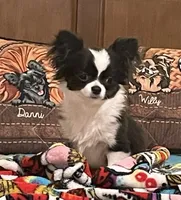 processed/9e45851b-0cee-47be-aba0-465d4da7fd29/facility/4a40967e-0d9e-41f1-817b-61b319b34cb8