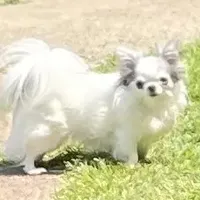 processed/9e45851b-0cee-47be-aba0-465d4da7fd29/facility/71ab6098-15f8-4275-8d44-d6422a8afccf