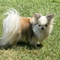 processed/9e45851b-0cee-47be-aba0-465d4da7fd29/facility/90de70bb-6946-4ea4-b45d-051800d77edd