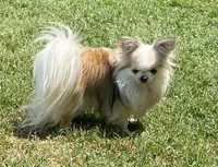 processed/9e45851b-0cee-47be-aba0-465d4da7fd29/facility/90de70bb-6946-4ea4-b45d-051800d77edd