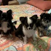 processed/9e45851b-0cee-47be-aba0-465d4da7fd29/facility/92749302-0a87-4435-8b8b-ff988fcc3570