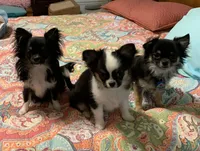 processed/9e45851b-0cee-47be-aba0-465d4da7fd29/facility/92749302-0a87-4435-8b8b-ff988fcc3570