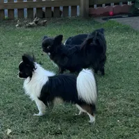 processed/9e45851b-0cee-47be-aba0-465d4da7fd29/facility/be0dcceb-a0dc-40a4-b718-0c54b8e63972