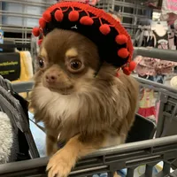 processed/9e45851b-0cee-47be-aba0-465d4da7fd29/facility/ce4c7236-286c-45b4-8441-d90ce5cd1f60