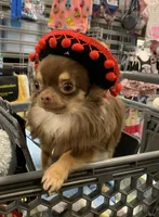 processed/9e45851b-0cee-47be-aba0-465d4da7fd29/facility/ce4c7236-286c-45b4-8441-d90ce5cd1f60