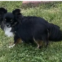 processed/9e45851b-0cee-47be-aba0-465d4da7fd29/facility/ed65d2f8-d32b-40ec-8f84-dc3049bdd454