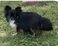 processed/9e45851b-0cee-47be-aba0-465d4da7fd29/facility/ed65d2f8-d32b-40ec-8f84-dc3049bdd454