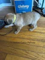 processed/9e46aba9-2fba-471e-b4ad-cfd410305e7f/listing/1c535053-6696-443a-8bf3-2c0196ef7c1a/0011e669-4f8c-4125-8708-d543f89538a5