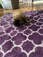 processed/9e46aba9-2fba-471e-b4ad-cfd410305e7f/listing/1c535053-6696-443a-8bf3-2c0196ef7c1a/5f80f329-fdcc-493f-be05-fcbbe8b35b32