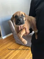 processed/9e46aba9-2fba-471e-b4ad-cfd410305e7f/listing/1c535053-6696-443a-8bf3-2c0196ef7c1a/b1d99d76-c960-4b38-aa20-86560e25746e