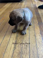 processed/9e46aba9-2fba-471e-b4ad-cfd410305e7f/listing/6a87af66-cbff-4e3a-b52d-56170587a4ae/0f192c7c-224b-44fb-92d5-f9db42464749