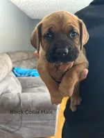 processed/9e46aba9-2fba-471e-b4ad-cfd410305e7f/listing/6a87af66-cbff-4e3a-b52d-56170587a4ae/2412024c-e835-4b64-a916-3798255d093b