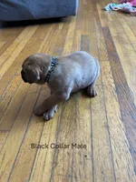 processed/9e46aba9-2fba-471e-b4ad-cfd410305e7f/listing/6a87af66-cbff-4e3a-b52d-56170587a4ae/4202c49b-eb0d-4ac1-89c8-39b8091518fd