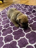 processed/9e46aba9-2fba-471e-b4ad-cfd410305e7f/listing/6a87af66-cbff-4e3a-b52d-56170587a4ae/824d8b6e-548e-49b8-8e22-2fad9249ba5d