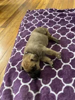 processed/9e46aba9-2fba-471e-b4ad-cfd410305e7f/listing/6a87af66-cbff-4e3a-b52d-56170587a4ae/d76b0676-f3d1-41e1-9dbe-03fcc1a42488