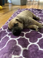 processed/9e46aba9-2fba-471e-b4ad-cfd410305e7f/listing/6a87af66-cbff-4e3a-b52d-56170587a4ae/e76dd062-3936-40de-ae17-8764fa00982b