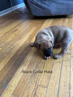 processed/9e46aba9-2fba-471e-b4ad-cfd410305e7f/listing/6a87af66-cbff-4e3a-b52d-56170587a4ae/fa285607-2db2-432e-920e-b1af39b485e4