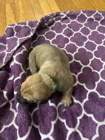 processed/9e46aba9-2fba-471e-b4ad-cfd410305e7f/listing/767b8d60-ba95-4dda-a4e6-6bceba72ea85/0d662b1c-7413-46aa-b805-e07eb5faa190