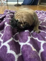 processed/9e46aba9-2fba-471e-b4ad-cfd410305e7f/listing/767b8d60-ba95-4dda-a4e6-6bceba72ea85/334aa712-4644-478c-8161-254d8b6b0fa8