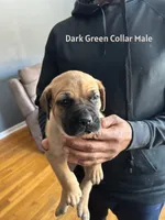 processed/9e46aba9-2fba-471e-b4ad-cfd410305e7f/listing/767b8d60-ba95-4dda-a4e6-6bceba72ea85/64992d64-d62e-4e1b-8432-5915f316ff5f