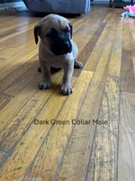 processed/9e46aba9-2fba-471e-b4ad-cfd410305e7f/listing/767b8d60-ba95-4dda-a4e6-6bceba72ea85/ece821d7-db99-4852-a6d5-c06aee44c9c7