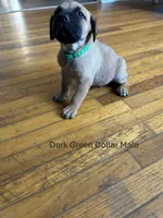 processed/9e46aba9-2fba-471e-b4ad-cfd410305e7f/listing/767b8d60-ba95-4dda-a4e6-6bceba72ea85/f50b662c-63c2-49c3-95f1-e5ab223307e3