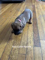 processed/9e46aba9-2fba-471e-b4ad-cfd410305e7f/listing/8c825c42-43f6-409a-b341-c9e329b24faf/040b0bb7-3b4a-480d-be59-39978f1684cd