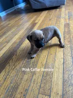 processed/9e46aba9-2fba-471e-b4ad-cfd410305e7f/listing/8c825c42-43f6-409a-b341-c9e329b24faf/a6b67409-c8e6-4dad-afdf-1caf53ab310c