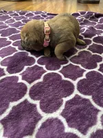 processed/9e46aba9-2fba-471e-b4ad-cfd410305e7f/listing/8c825c42-43f6-409a-b341-c9e329b24faf/a8cf8091-1023-4cf6-9fe1-d76daeb79c9e