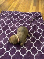 processed/9e46aba9-2fba-471e-b4ad-cfd410305e7f/listing/8c825c42-43f6-409a-b341-c9e329b24faf/d2177ac2-a386-4e57-ad79-cc6a02a33ebc