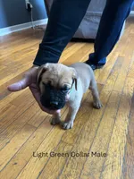 processed/9e46aba9-2fba-471e-b4ad-cfd410305e7f/listing/9bcd1d1c-babe-448f-8f1a-e1967d68d369/0b887a5c-ae64-4e6d-92cc-cad00e32d98c