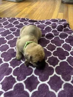 processed/9e46aba9-2fba-471e-b4ad-cfd410305e7f/listing/9bcd1d1c-babe-448f-8f1a-e1967d68d369/585ab159-d506-4d66-a33a-b55be186ebf6