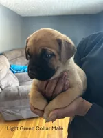 processed/9e46aba9-2fba-471e-b4ad-cfd410305e7f/listing/9bcd1d1c-babe-448f-8f1a-e1967d68d369/5a6ea8db-c04f-46a3-8040-59032f2bb608