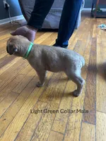 processed/9e46aba9-2fba-471e-b4ad-cfd410305e7f/listing/9bcd1d1c-babe-448f-8f1a-e1967d68d369/6432fb0d-1130-4c7a-aae3-6f3d6eb35322