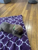 processed/9e46aba9-2fba-471e-b4ad-cfd410305e7f/listing/9bcd1d1c-babe-448f-8f1a-e1967d68d369/c9a25b91-d976-40a2-b431-1a45cbd3ccc8