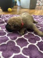 processed/9e46aba9-2fba-471e-b4ad-cfd410305e7f/listing/bbb6d414-22fa-4900-bfeb-aab008e2a834/b1a91e2d-cba6-4313-9a26-e530f8345d9b