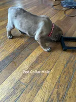 processed/9e46aba9-2fba-471e-b4ad-cfd410305e7f/listing/bbb6d414-22fa-4900-bfeb-aab008e2a834/d339dee0-06af-4887-a631-0c60b3ccc12c