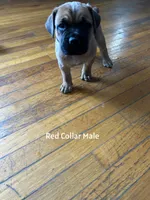 processed/9e46aba9-2fba-471e-b4ad-cfd410305e7f/listing/bbb6d414-22fa-4900-bfeb-aab008e2a834/d6d9bc12-f93d-4b19-b01b-09254f38b97f